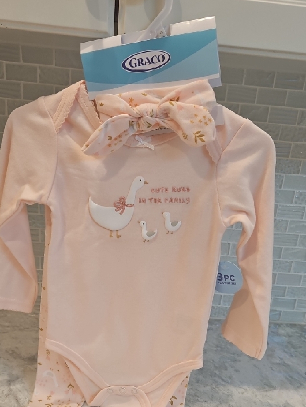 NWT Graco Baby Girls' Pink Matching Set with Duck Embroidery